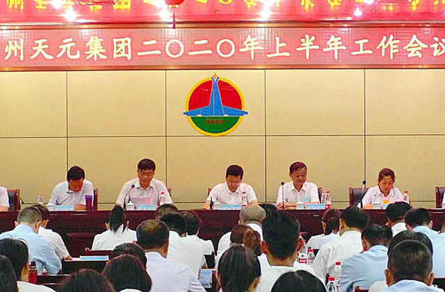 天元集團(tuán)召開2020年上半年工作會議